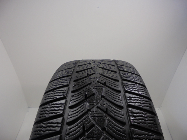 Goodyear Ultragrip Performance G1 reifen