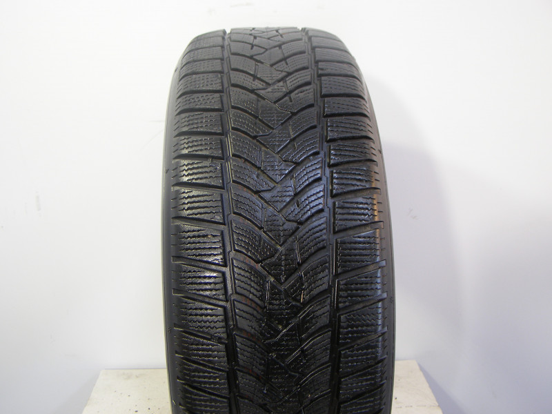 Dunlop Wintersport 5 suv reifen