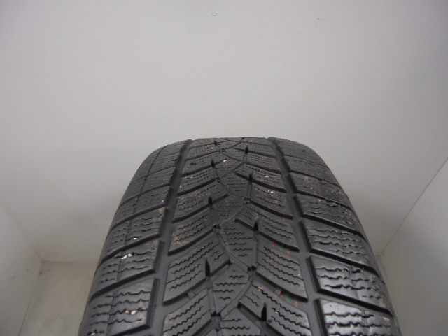 Goodyear Ultragrip Performance G1 reifen