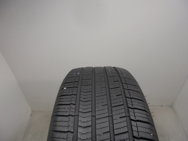 Dunlop Sport All season reifen