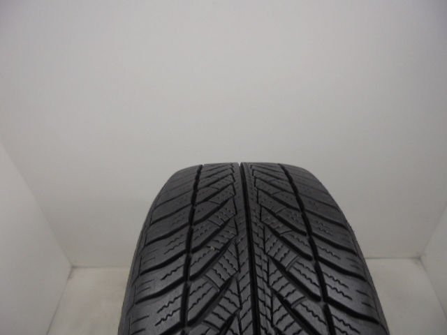 Goodyear Ultragrip Performance 2 RSC reifen