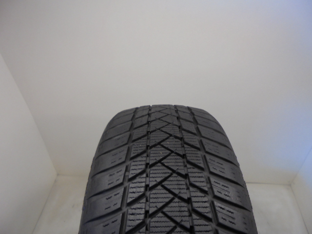 GT Radial Winter Pro2 reifen
